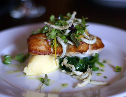 WLG Wellington Pop-up Restaurant, 153 Gertrude St, Fitzroy DSC04094 540x416 HOT: WLG Wellington Pop up Restaurant, 153 Gertrude St, Fitzroy