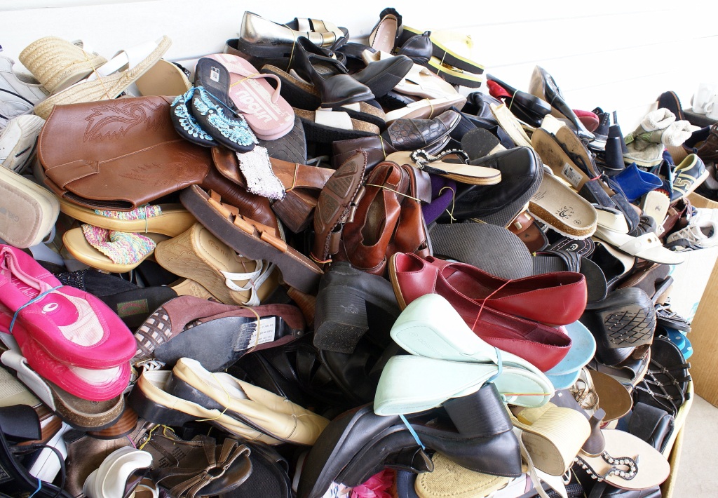 DSC06639v1 DSC06639v1