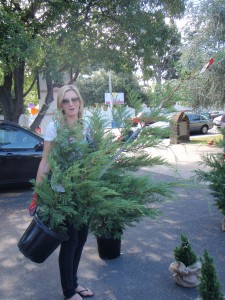 Delivery Girl 225x300 HOT Chat: Anna Brockhurst from Eco Christmas Trees