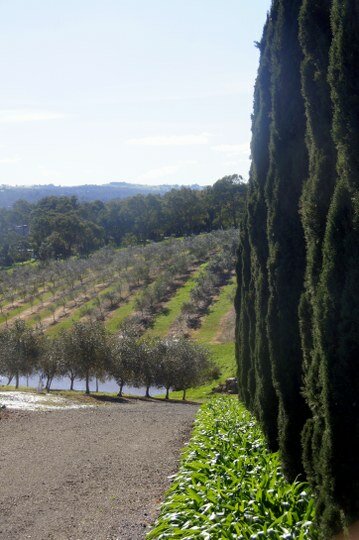 HOT: Olivigna, 54 56 Brumbys Road, Warrandyte South Olivigna 54 56 Brumbys Road Warrandyte South 6 HOT: Olivigna, 54 56 Brumbys Road, Warrandyte South