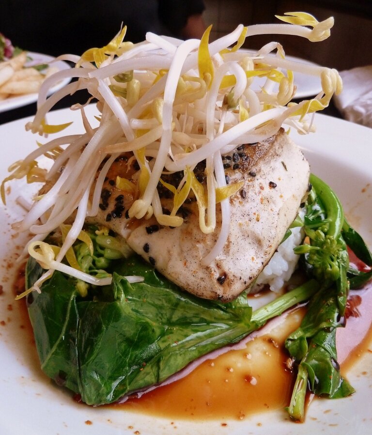 Fox Hotel, 351 Wellington St, Collingwood