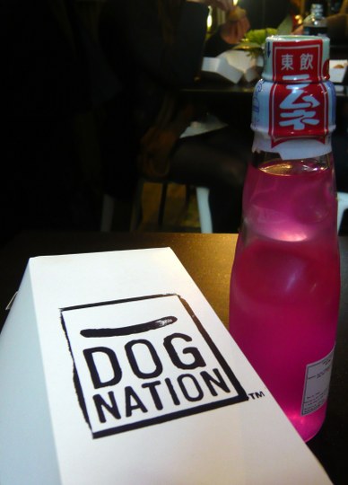 Dognation, Shop 2, The Causeway, Melbourne