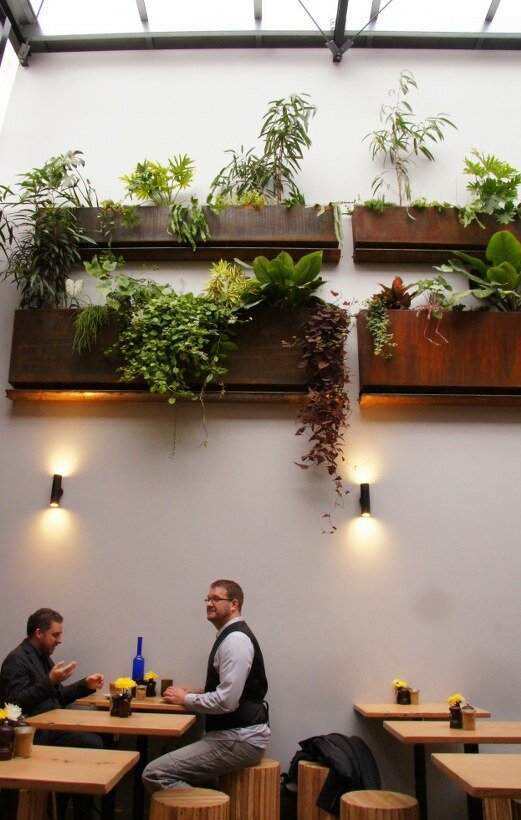 vertue of the coffee drink