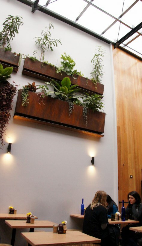 vertue of the coffee drink