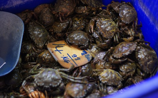 Vietnam on a Plate, Discover Footscray Tours