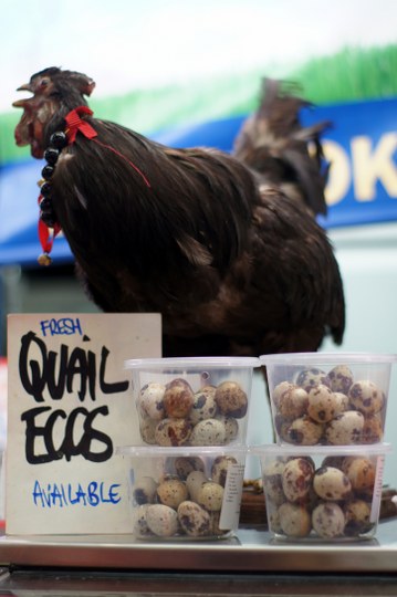 Vietnam on a Plate, Discover Footscray Tours