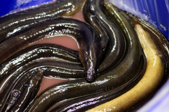 Vietnam on a Plate, Discover Footscray Tours