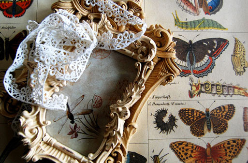 nesting bird1 nesting bird1 HOT: Michelle Lane of Mishy Lane